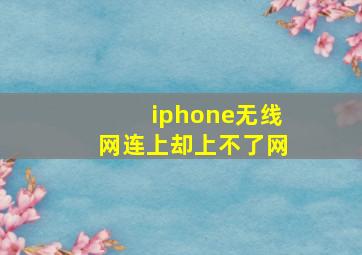 iphone无线网连上却上不了网