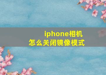 iphone相机怎么关闭镜像模式