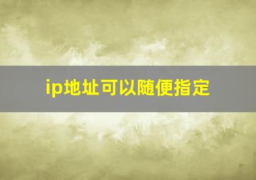 ip地址可以随便指定