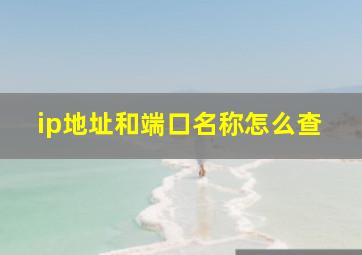 ip地址和端口名称怎么查