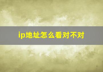 ip地址怎么看对不对