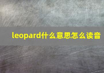 leopard什么意思怎么读音