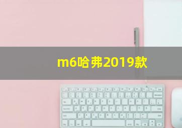 m6哈弗2019款