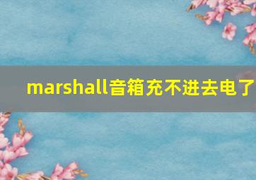 marshall音箱充不进去电了