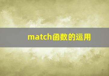 match函数的运用