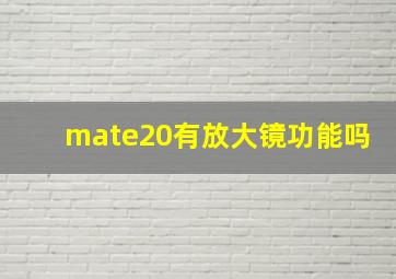 mate20有放大镜功能吗