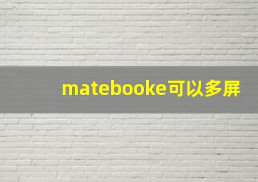 matebooke可以多屏