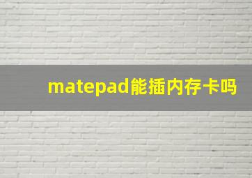 matepad能插内存卡吗