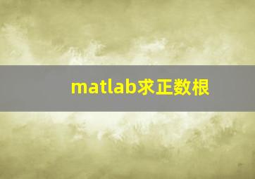 matlab求正数根