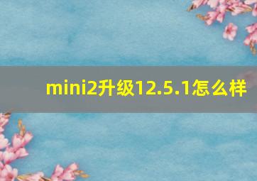 mini2升级12.5.1怎么样