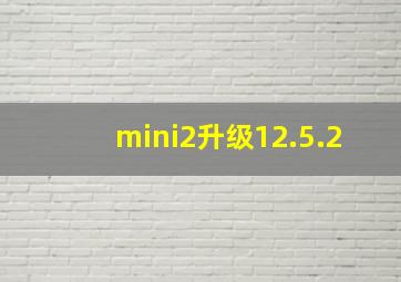 mini2升级12.5.2