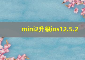 mini2升级ios12.5.2