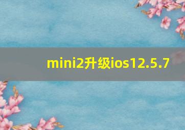 mini2升级ios12.5.7