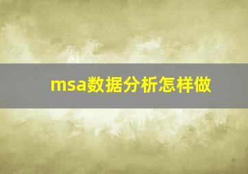 msa数据分析怎样做