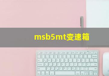 msb5mt变速箱