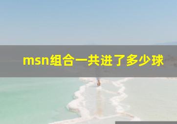 msn组合一共进了多少球