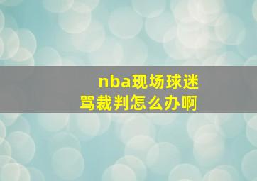 nba现场球迷骂裁判怎么办啊