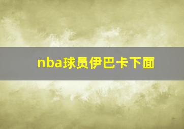 nba球员伊巴卡下面