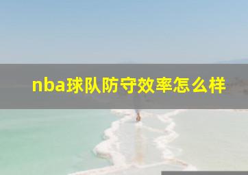 nba球队防守效率怎么样