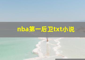 nba第一后卫txt小说