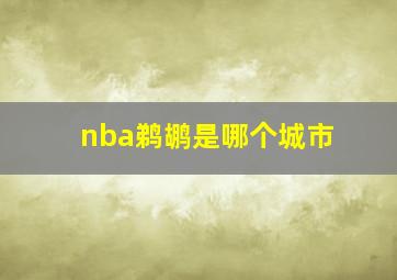 nba鹈鹕是哪个城市