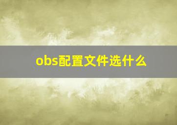 obs配置文件选什么