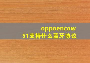 oppoencow51支持什么蓝牙协议