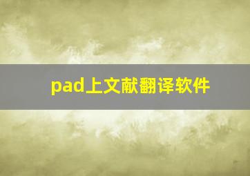 pad上文献翻译软件