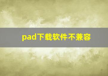 pad下载软件不兼容