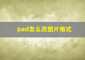 pad怎么改图片格式