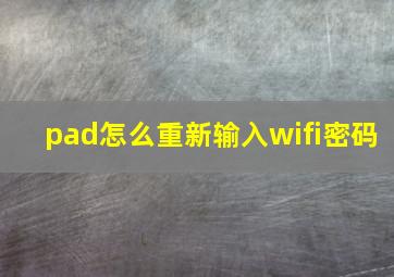 pad怎么重新输入wifi密码