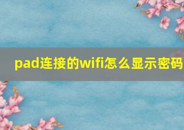 pad连接的wifi怎么显示密码