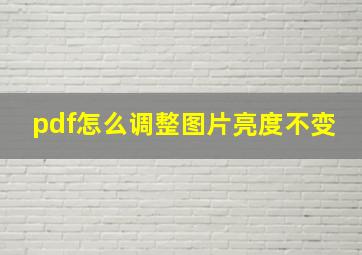 pdf怎么调整图片亮度不变