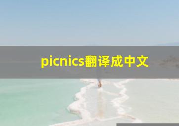 picnics翻译成中文