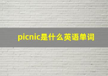 picnic是什么英语单词