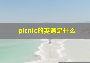 picnic的英语是什么