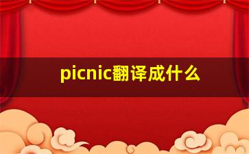 picnic翻译成什么