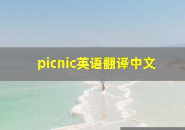 picnic英语翻译中文