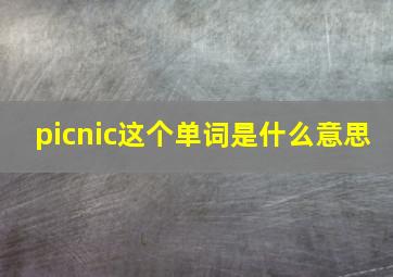 picnic这个单词是什么意思