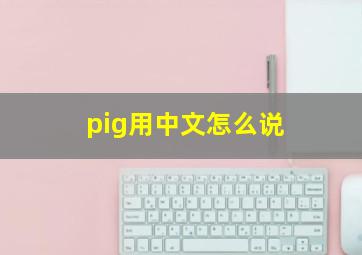 pig用中文怎么说