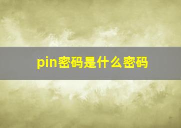 pin密码是什么密码