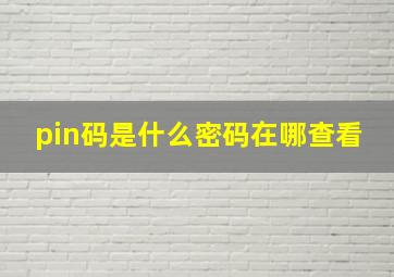 pin码是什么密码在哪查看