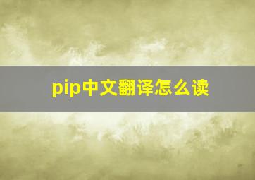 pip中文翻译怎么读