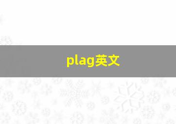 plag英文