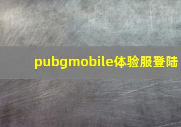 pubgmobile体验服登陆