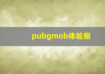 pubgmob体验服