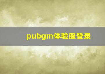 pubgm体验服登录