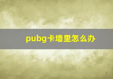 pubg卡墙里怎么办