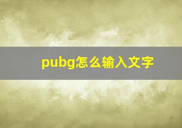 pubg怎么输入文字