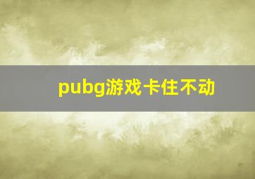 pubg游戏卡住不动